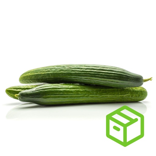CUCUMBER-  青瓜（箱装）