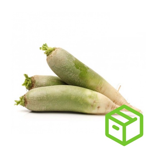 GREEN RADISH 青萝卜（箱装）
