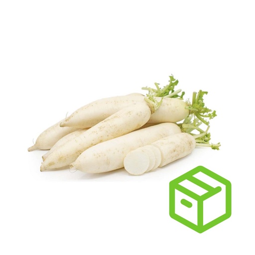 WHITE RADISH  白萝卜（箱装）
