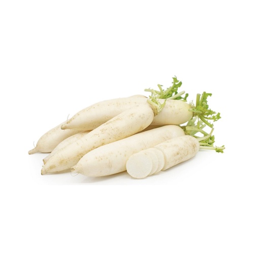 WHITE RADISH  白萝卜 (LB磅)