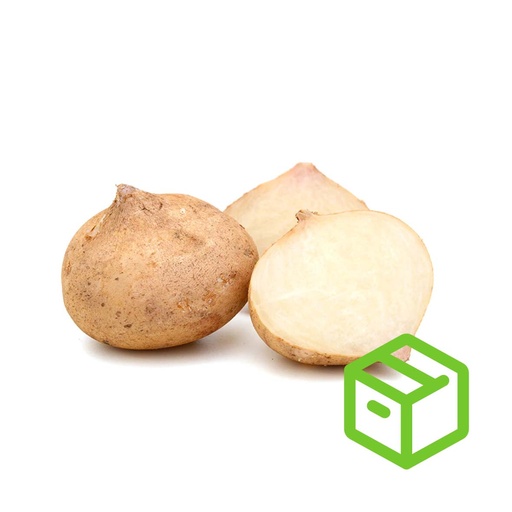 JICAMA 沙葛（箱装）