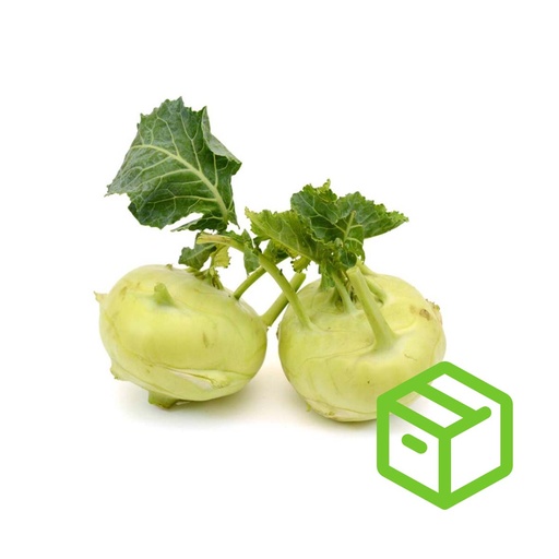 KOHLRABI  菜果（Case箱装）