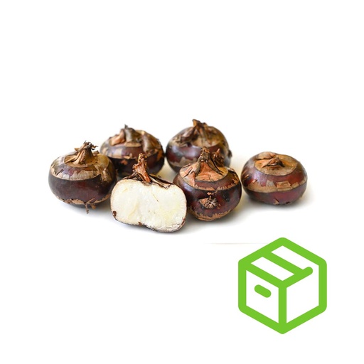 WATER CHESTNUT 马蹄（箱装）