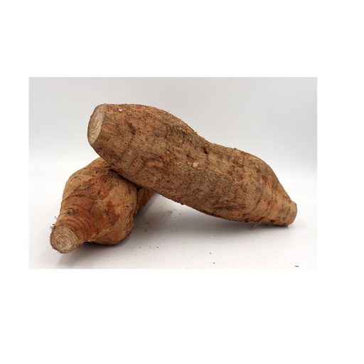 ARROW ROOT 粉葛 (LB磅)