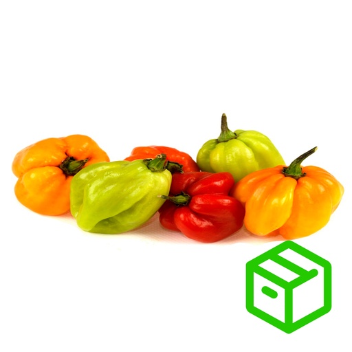 JAMAICAN HOT PEPPER 灯笼椒（箱装）