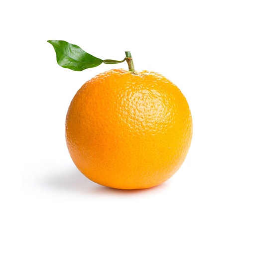 ORANGE (1 dozen) 橙（1打）