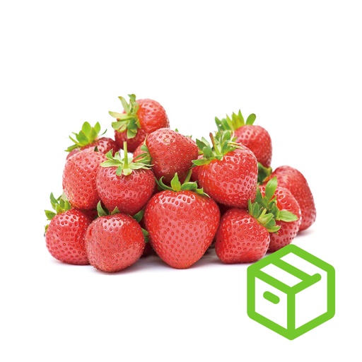 STRAWBERRY 草莓（Case箱装）