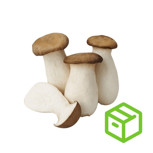 KING OYSTER-CHINA  皇子菇 （中国）（箱装）