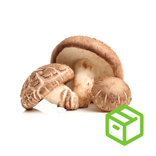 SHITAKE MUSHROOM 香菇（箱装）