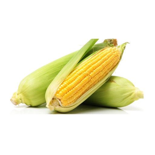 CORN (1dozen)玉米（1打）