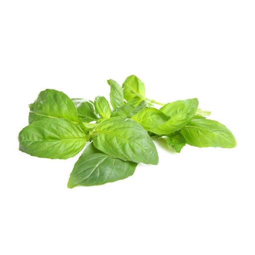 BASIL  九层塔 (LB磅)