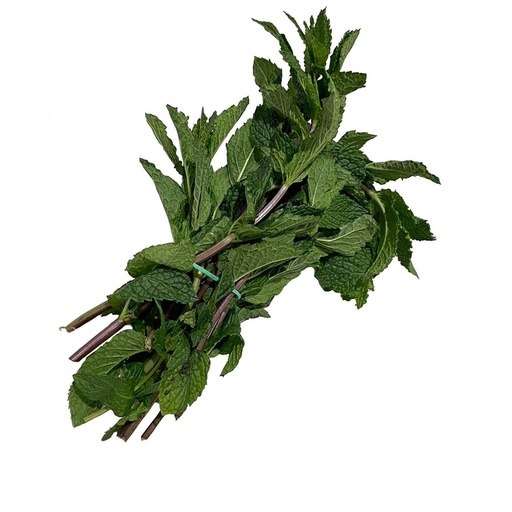 MINT 薄荷叶 (Bunch扎 )