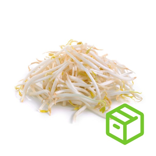 BEAN SPROUT  芽菜（箱装）