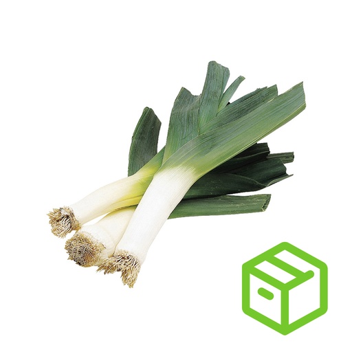 BIG LEEK  大蒜（箱装）