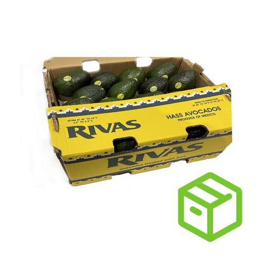 AVOCADO 牛油果 48'S-RIVAS