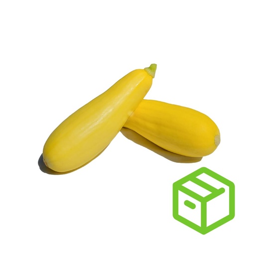 ZUCCHINI YELLOW 黄意大利瓜（箱装）