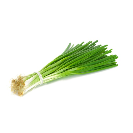 GREEN ONION ICELESS 包装青葱  12 扎/包