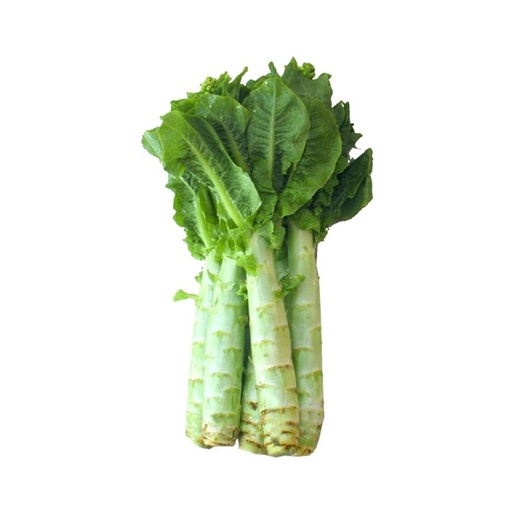 A Choy Stem 莴笋 (LB磅)
