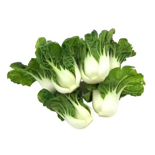 BABY BOK CHOY  奶油白菜 (LB磅)