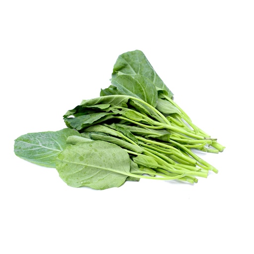 CHINESE BROCCOLI TIPS  芥兰苗 (LB磅)
