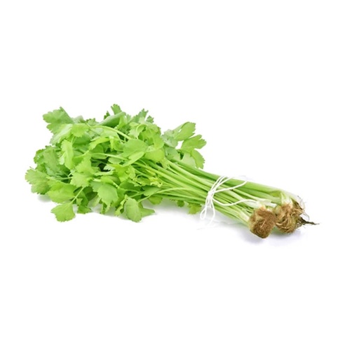 CHINESE CELERY WHITE  白唐芹 (LB磅)