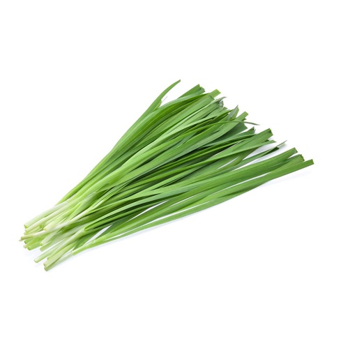 CHIVE  韭菜 (LB磅)