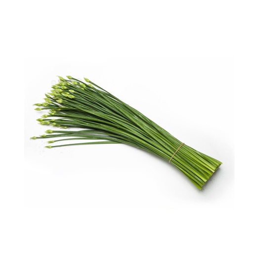 CHIVE STEM 韭菜花 (LB磅)
