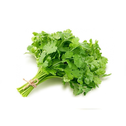 CILANTRO  芫茜 (LB磅)