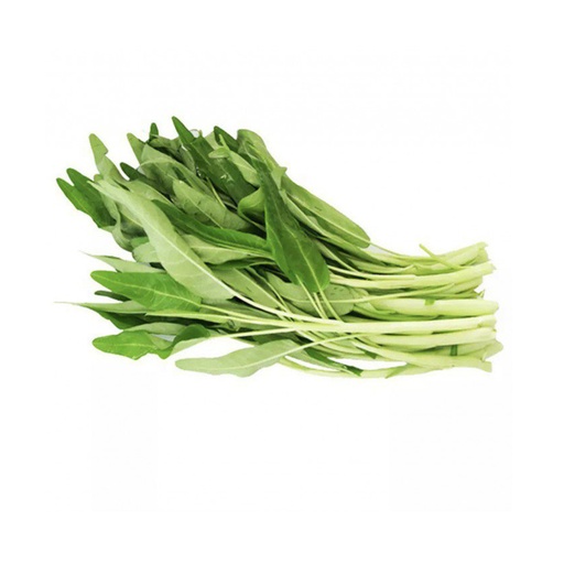 ON CHOY WHITE  白通菜 (LB磅)