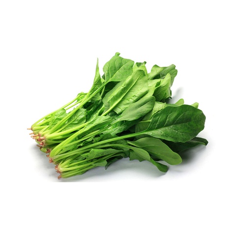 SPINACH  菠菜 (LB磅)