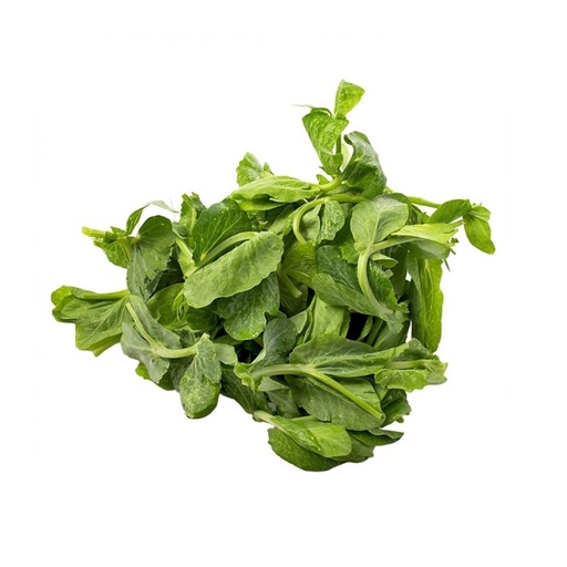 PEA TIPS  豆苗 (LB磅)
