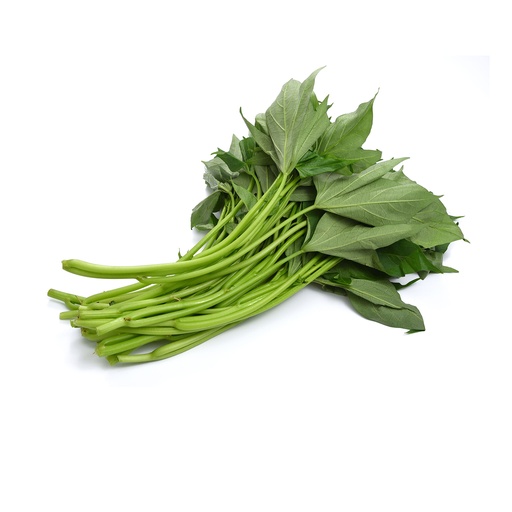 YAM LEAF  蕃薯叶 (LB磅)