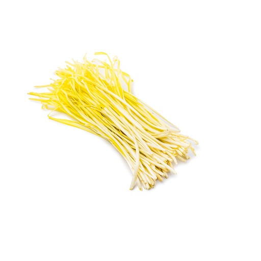 YELLOW CHIVE  韭黄 (LB磅)