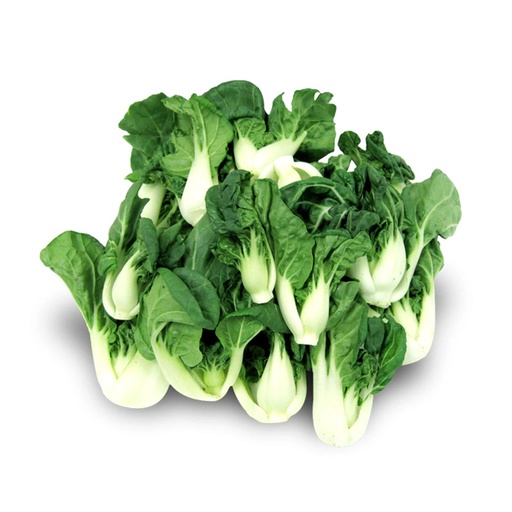 BABY BOK CHOY TIPS白菜苗 (LB磅)