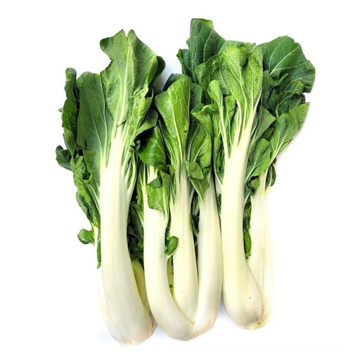 BIG PAK CHOY 大白菜 (LB磅)