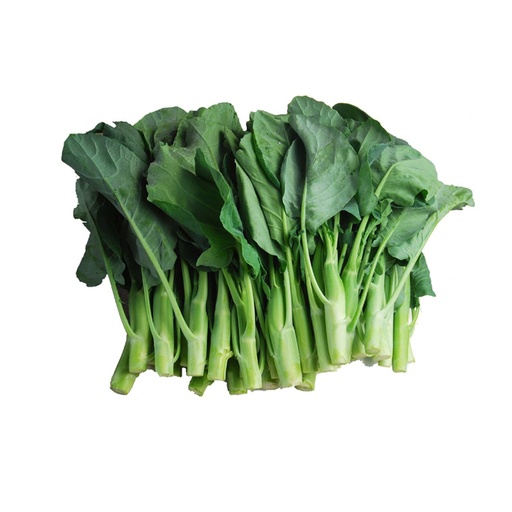CHINESE BROCCOLI 芥兰 (LB磅)