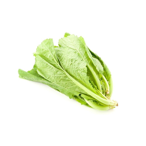 MUSTARD GREEN  芥菜仔 (LB磅)