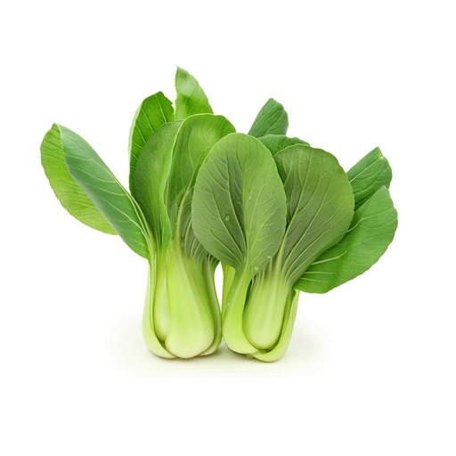 SHANGHAI BOK CHOY上海白菜 (LB磅)