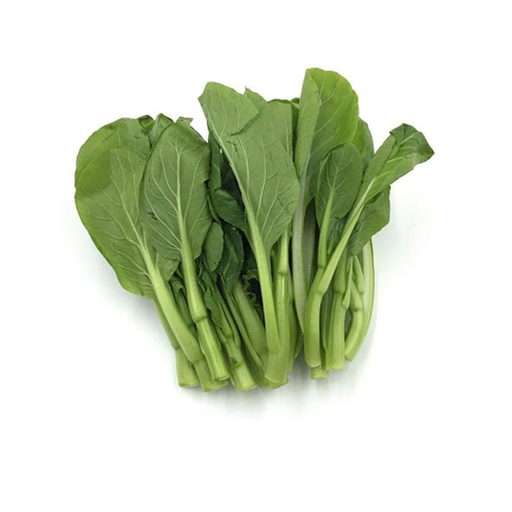 YU CHOY SUM TIPS  油菜苗 (LB磅)