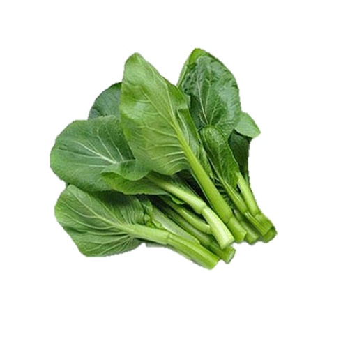YU CHOY SUM  油菜 (LB磅)