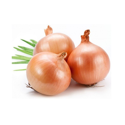 ONION SPANISH 洋葱 (LB磅)
