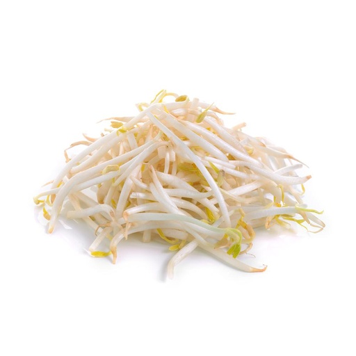 BEAN SPROUT 芽菜 (LB磅)