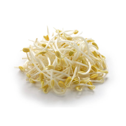 SOY BEAN SPROUT  大豆芽 (LB磅)