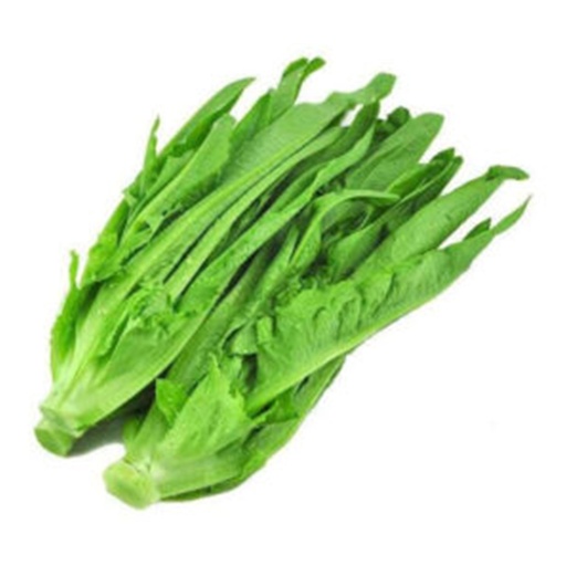 A Choy  A菜 (LB磅)
