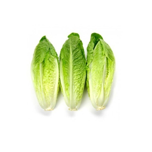 ROMAINE HEART  罗马芯（BAG包）