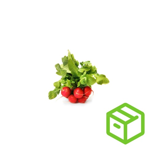 CHERRY BELLE RADISH 樱桃萝卜仔（箱装)